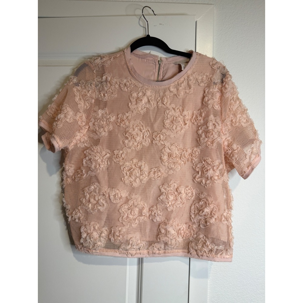 HM Pink 3D Floral Mesh Top Short Sleeve Blouse Size 8 Blush Applique Zip Back